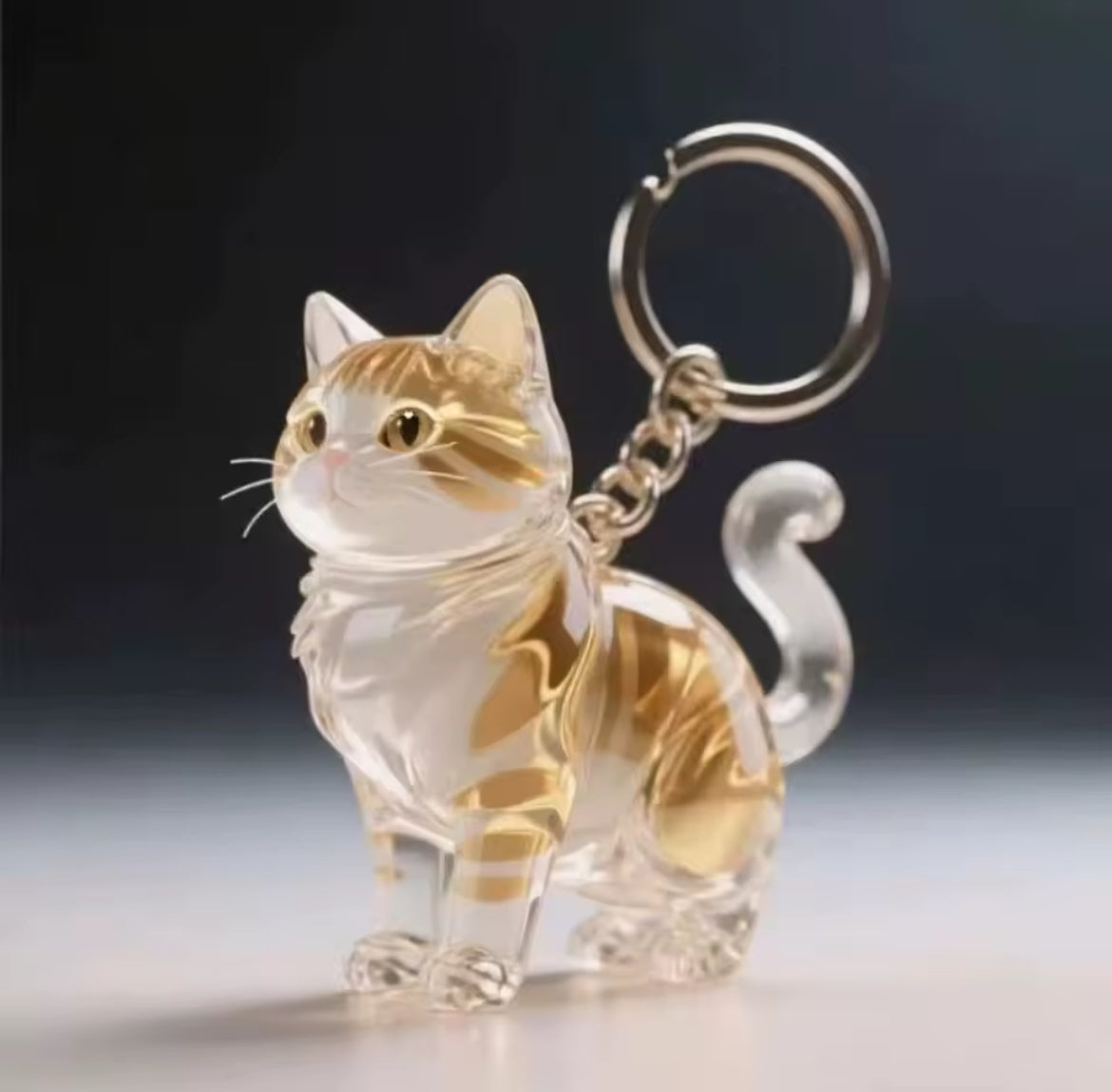 Ma Boule de Poils  Porte-clefs souvenir pour chiens & chats